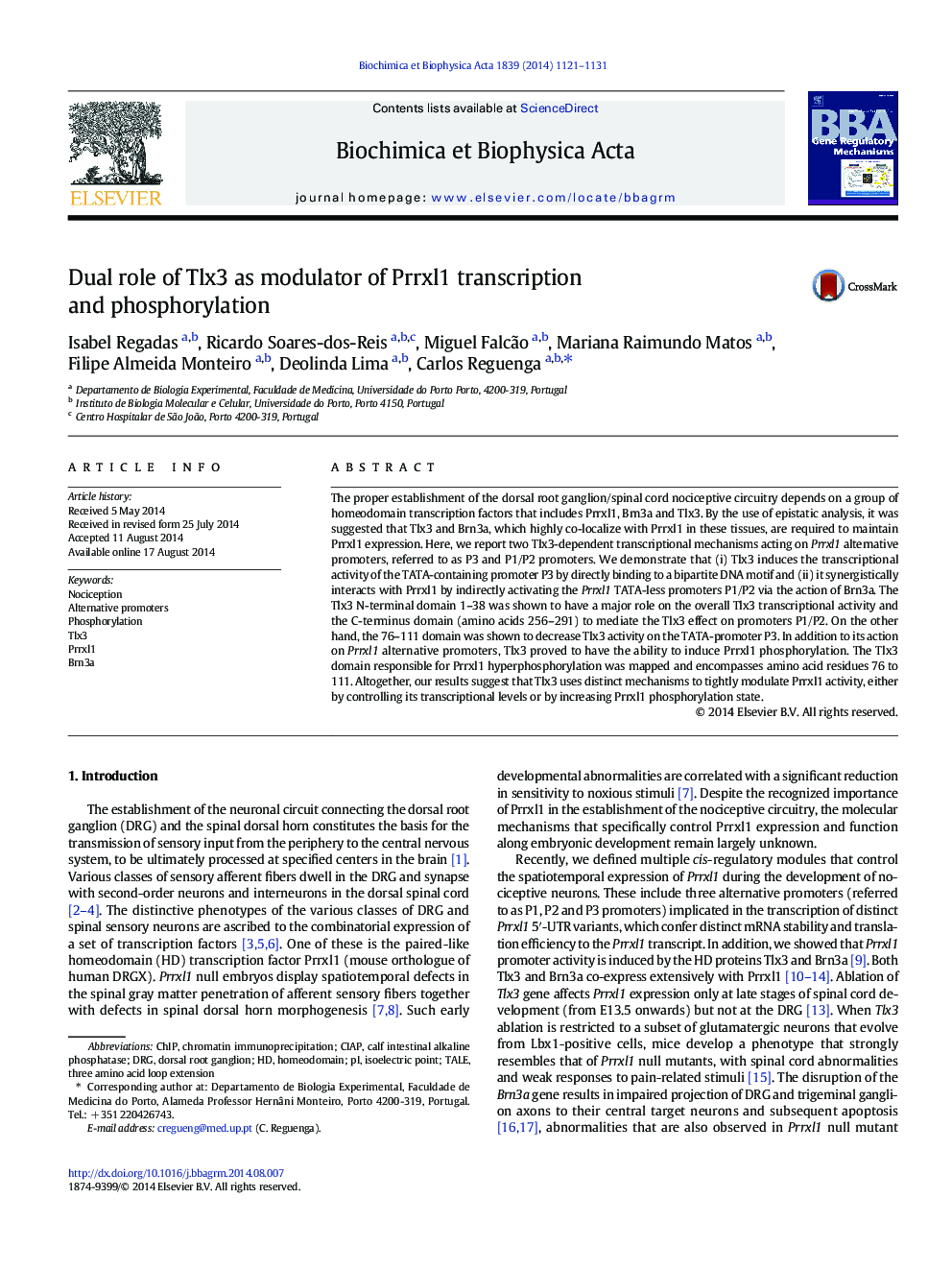 Dual role of Tlx3 as modulator of Prrxl1 transcription and phosphorylation