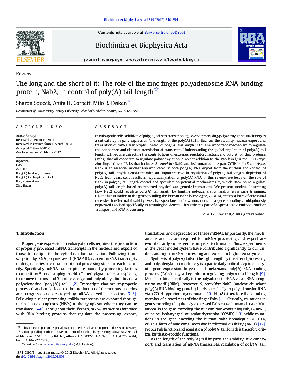 The long and the short of it: The role of the zinc finger polyadenosine RNA binding protein, Nab2, in control of poly(A) tail length