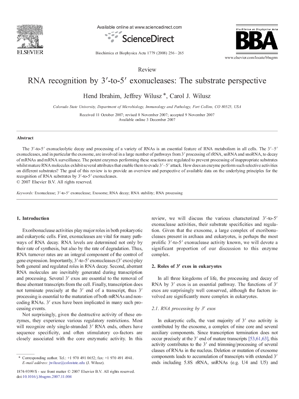 RNA recognition by 3â²-to-5â² exonucleases: The substrate perspective