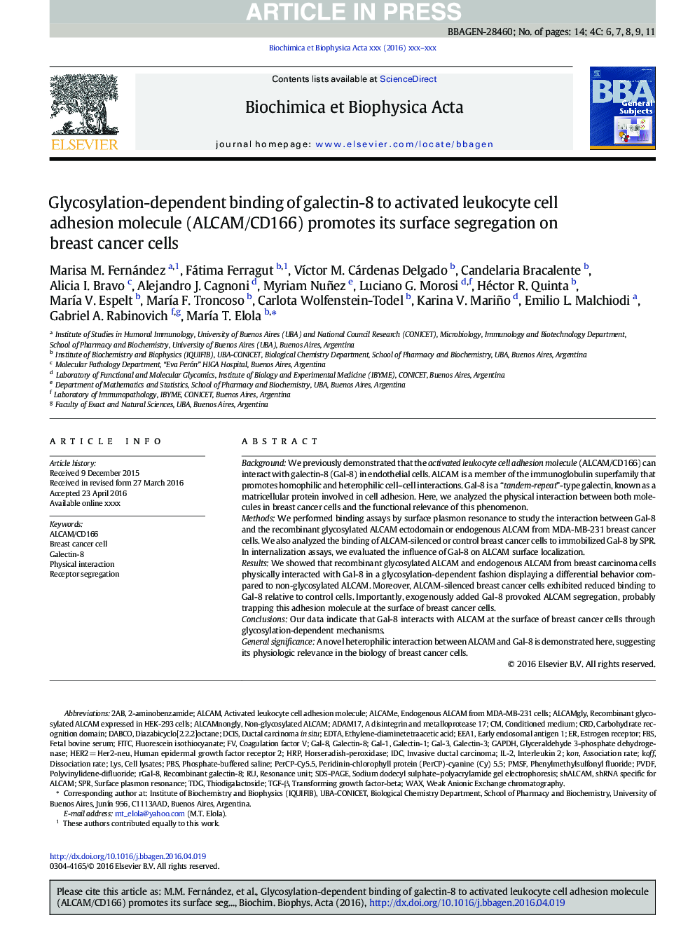 Glycosylation-dependent binding of galectin-8 to activated leukocyte cell adhesion molecule (ALCAM/CD166) promotes its surface segregation on breast cancer cells