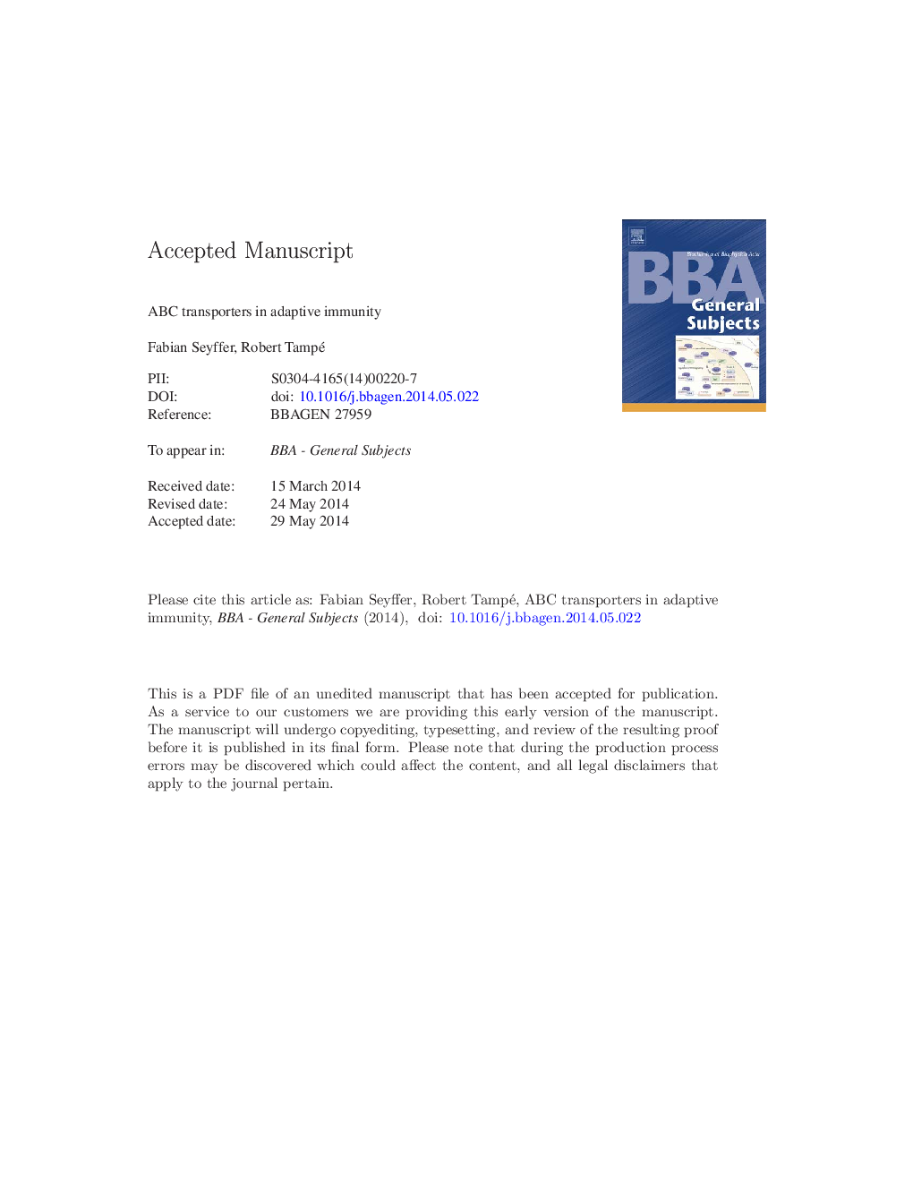 ABC transporters in adaptive immunity