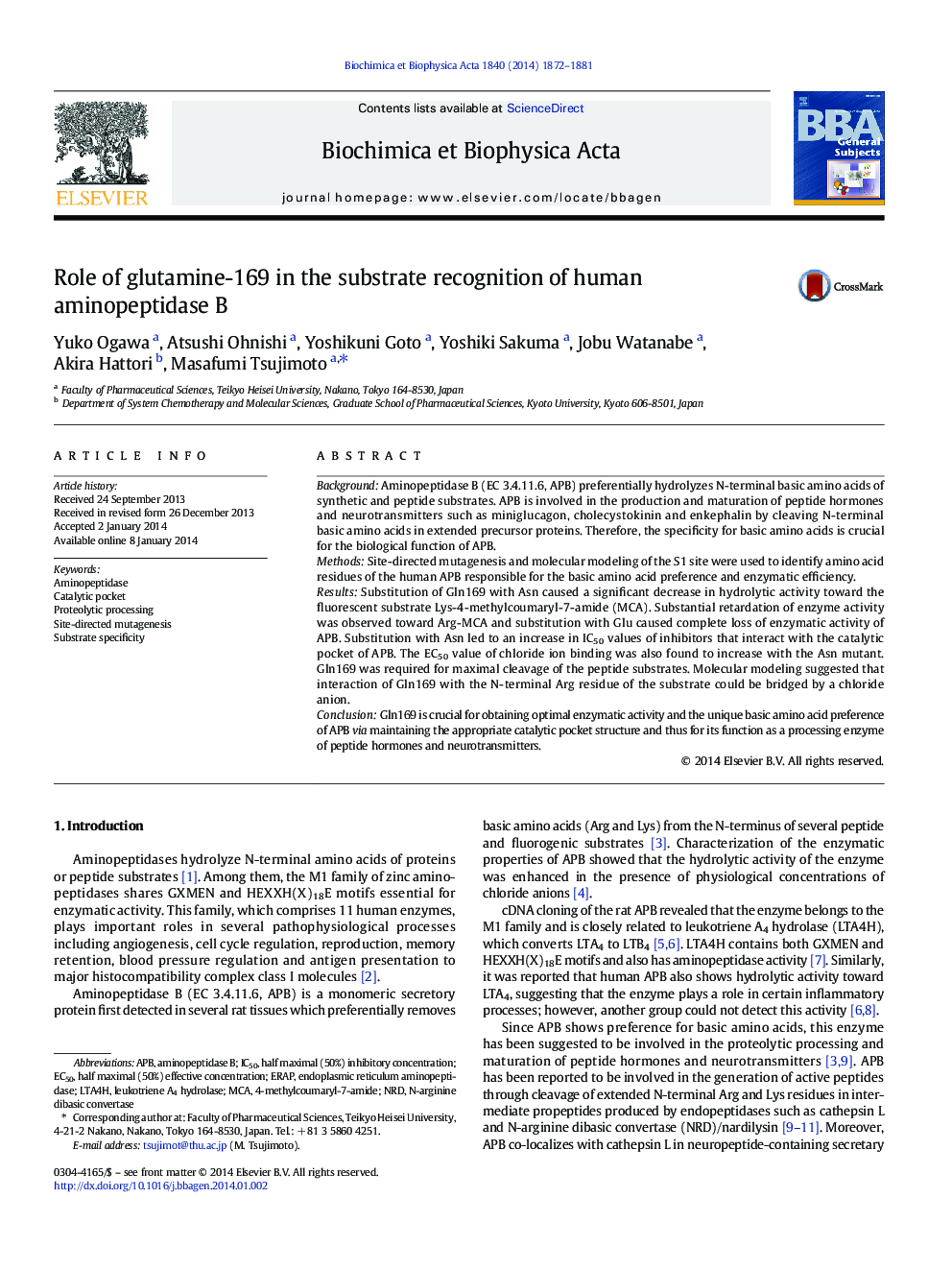 Role of glutamine-169 in the substrate recognition of human aminopeptidase B