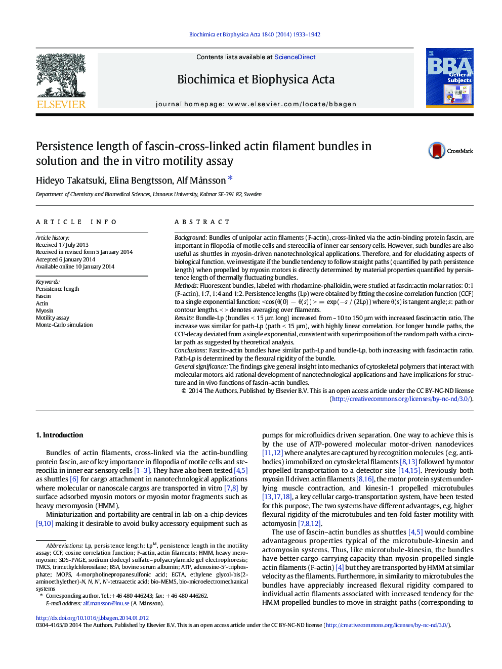 Persistence length of fascin-cross-linked actin filament bundles in solution and the in vitro motility assay