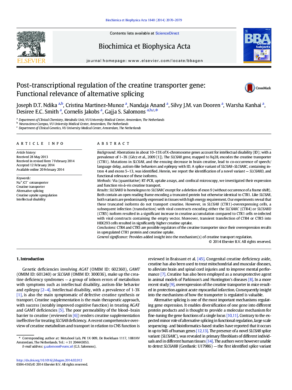 Post-transcriptional regulation of the creatine transporter gene: Functional relevance of alternative splicing