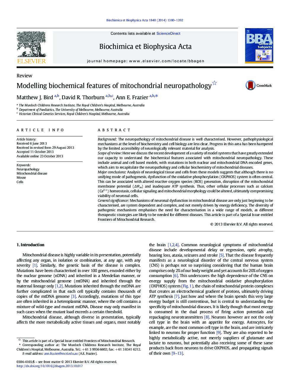 Modelling biochemical features of mitochondrial neuropathology