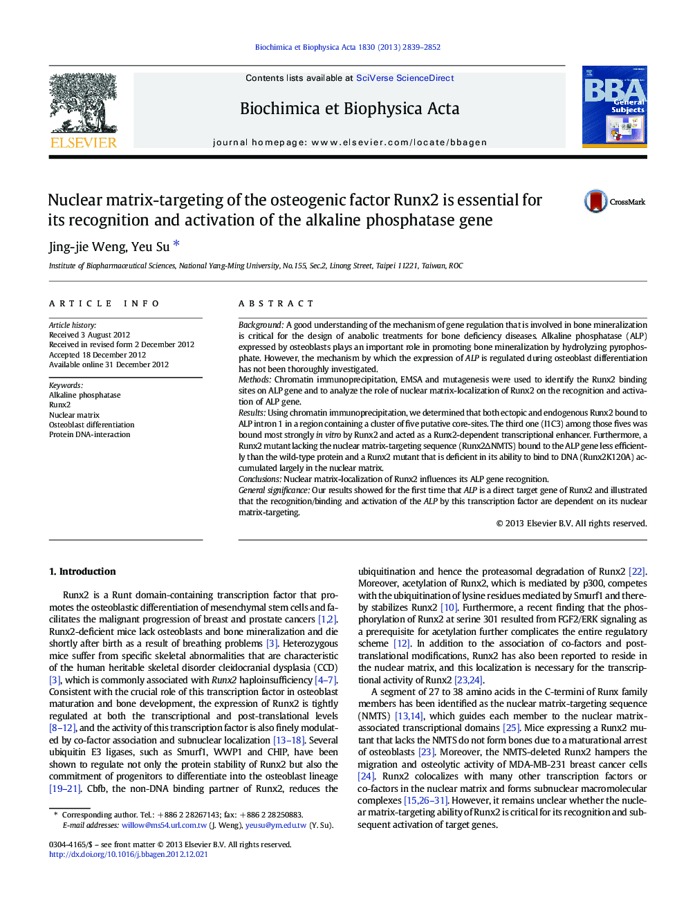 Nuclear matrix-targeting of the osteogenic factor Runx2 is essential for its recognition and activation of the alkaline phosphatase gene