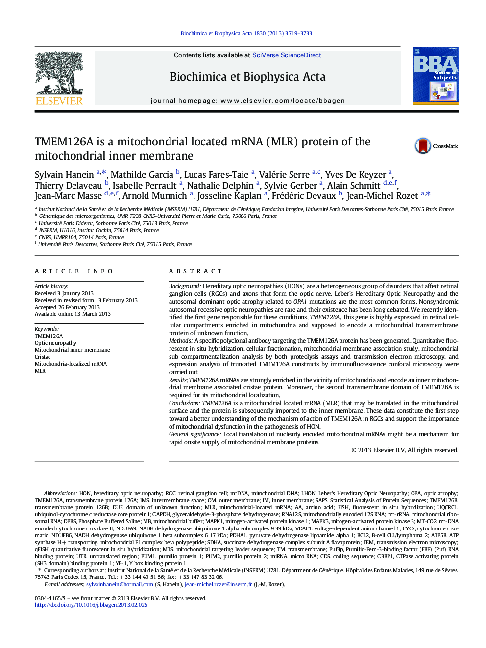 TMEM126A is a mitochondrial located mRNA (MLR) protein of the mitochondrial inner membrane