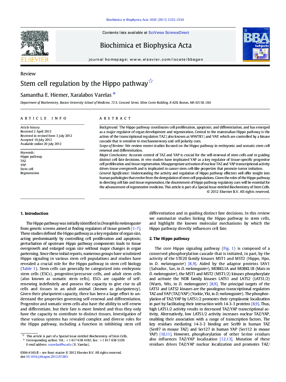 Stem cell regulation by the Hippo pathway