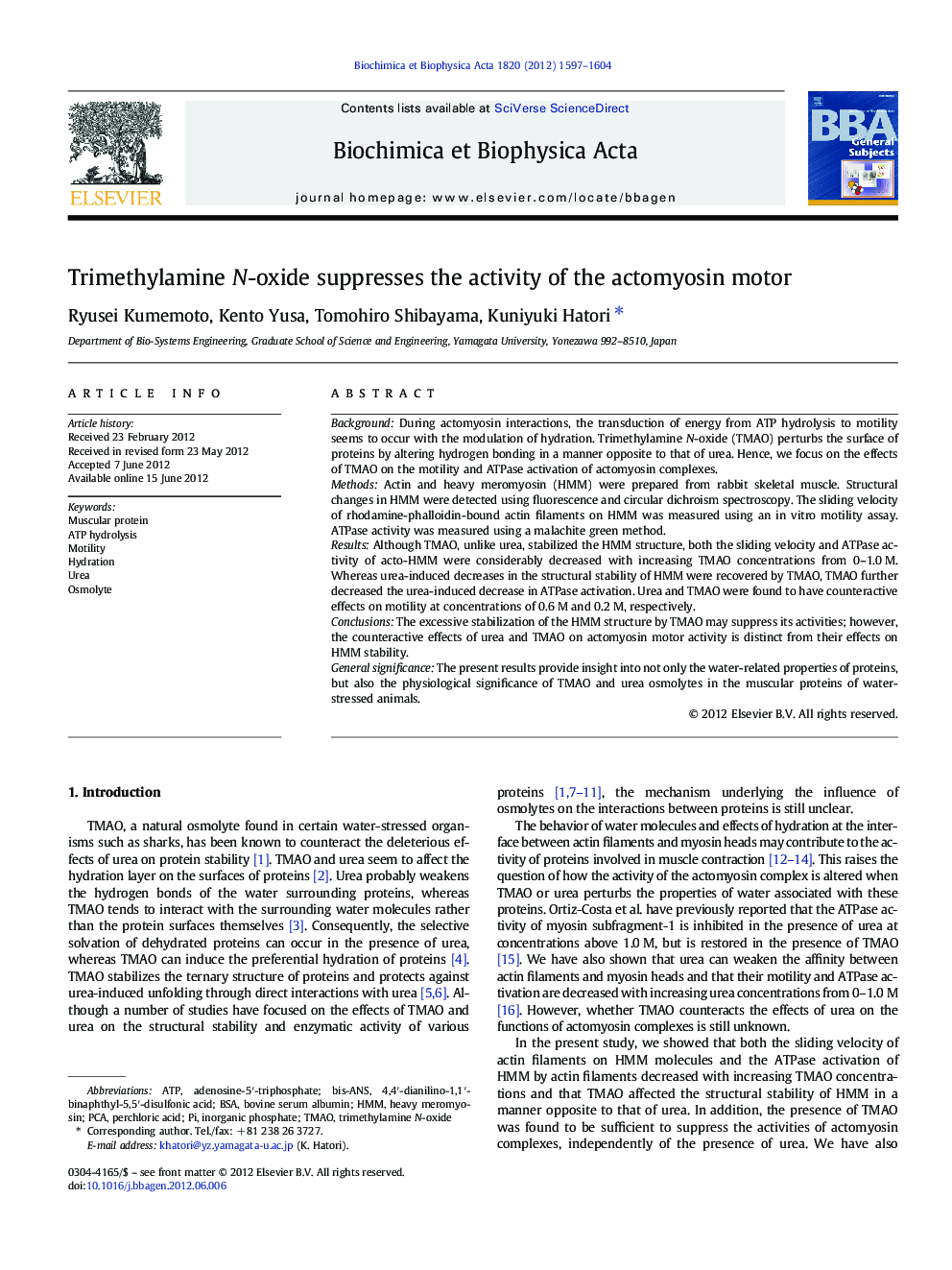 Trimethylamine N-oxide suppresses the activity of the actomyosin motor