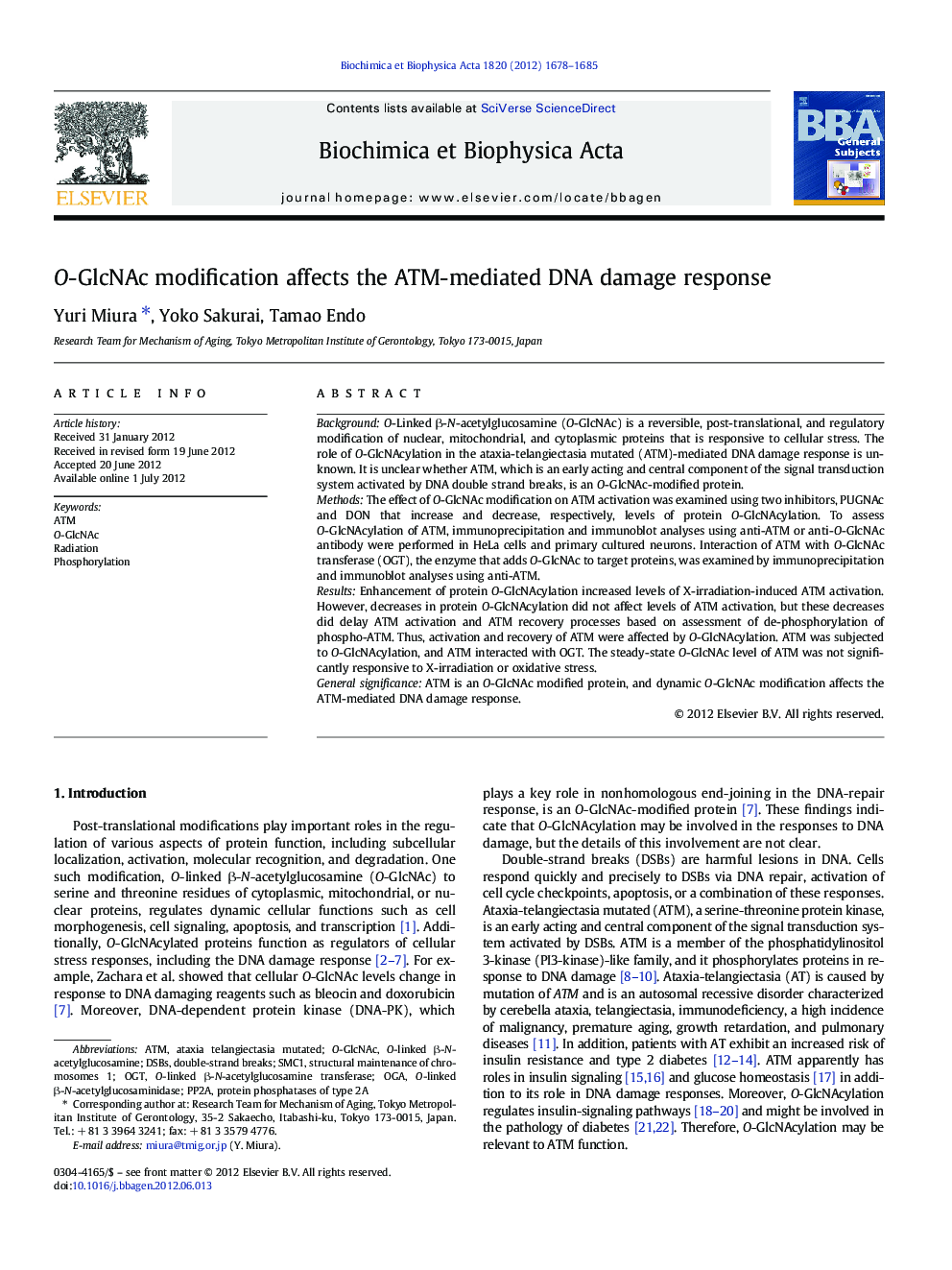 O-GlcNAc modification affects the ATM-mediated DNA damage response