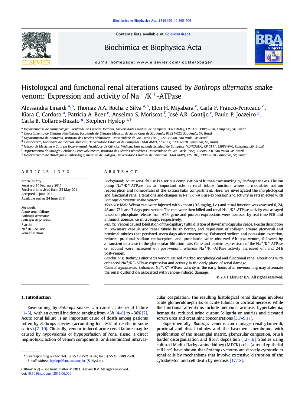 Histological and functional renal alterations caused by Bothrops alternatus snake venom: Expression and activity of Na+/K+-ATPase