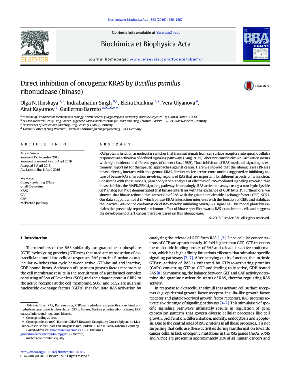 Direct inhibition of oncogenic KRAS by Bacillus pumilus ribonuclease (binase)