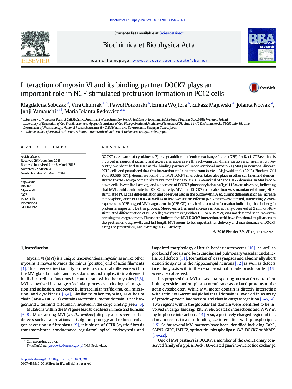 Interaction of myosin VI and its binding partner DOCK7 plays an important role in NGF-stimulated protrusion formation in PC12 cells