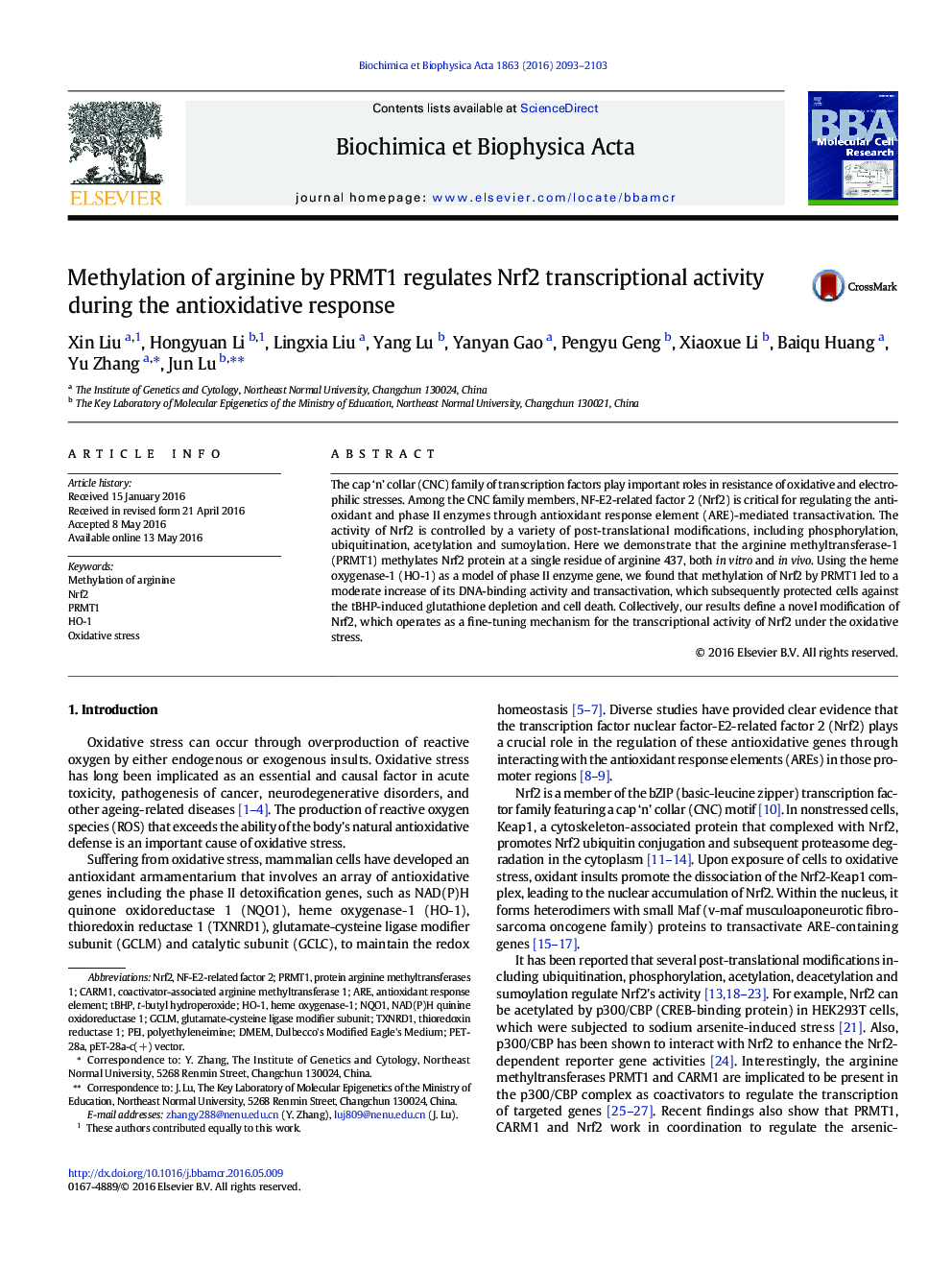 Methylation of arginine by PRMT1 regulates Nrf2 transcriptional activity during the antioxidative response