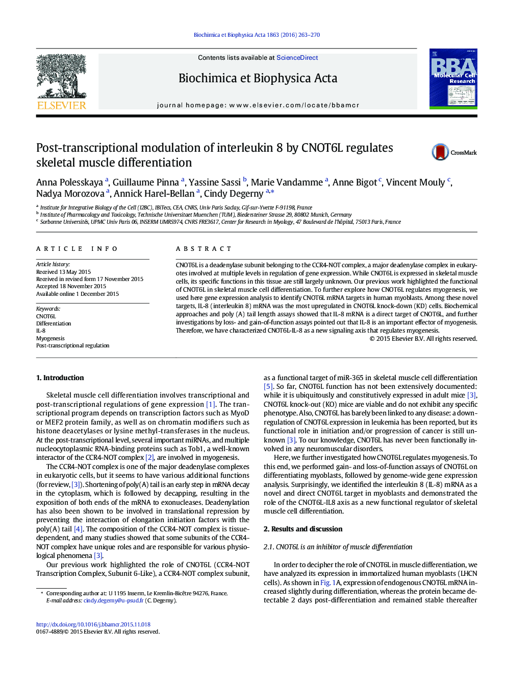 Post-transcriptional modulation of interleukin 8 by CNOT6L regulates skeletal muscle differentiation