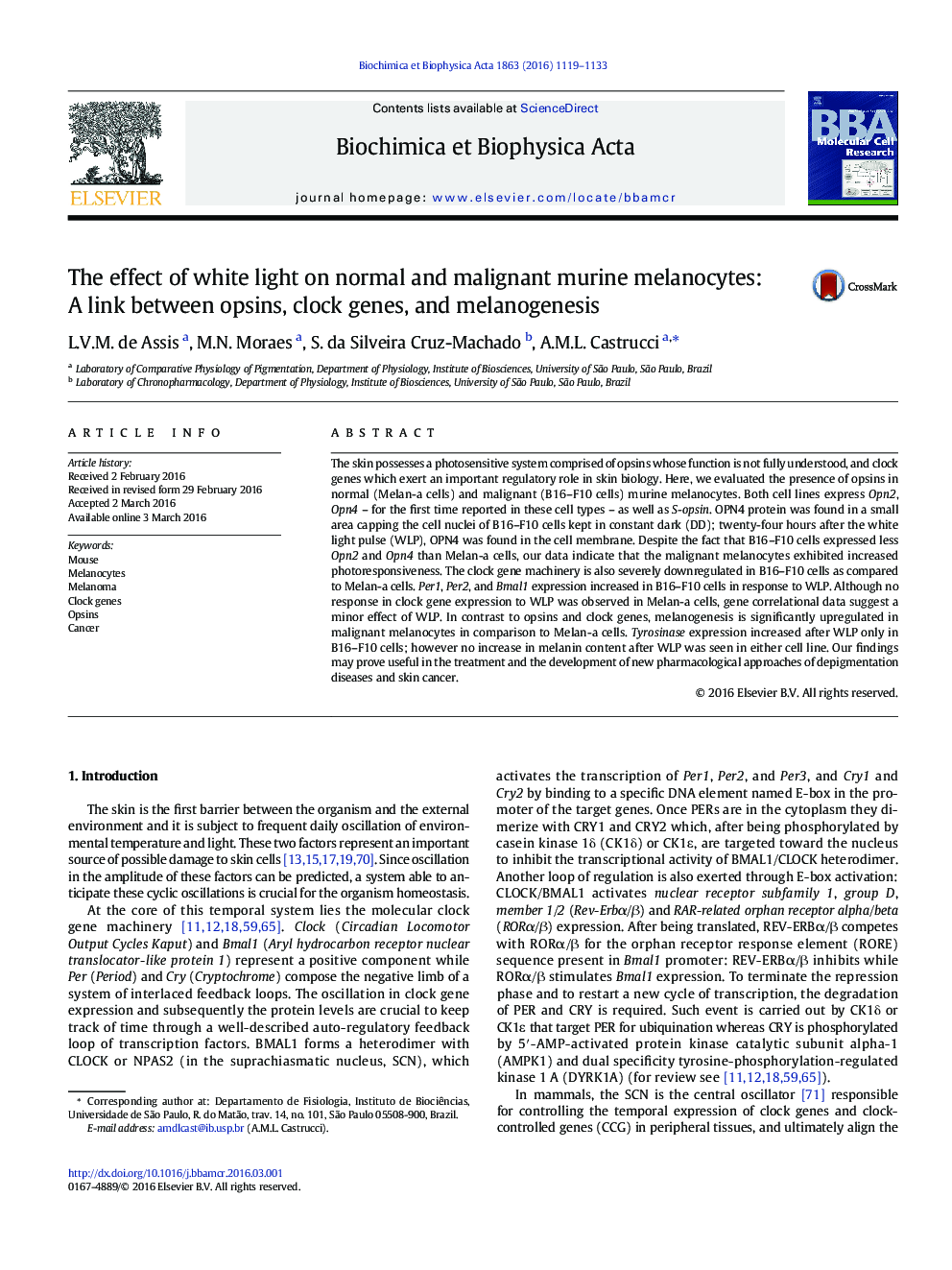 The effect of white light on normal and malignant murine melanocytes: A link between opsins, clock genes, and melanogenesis