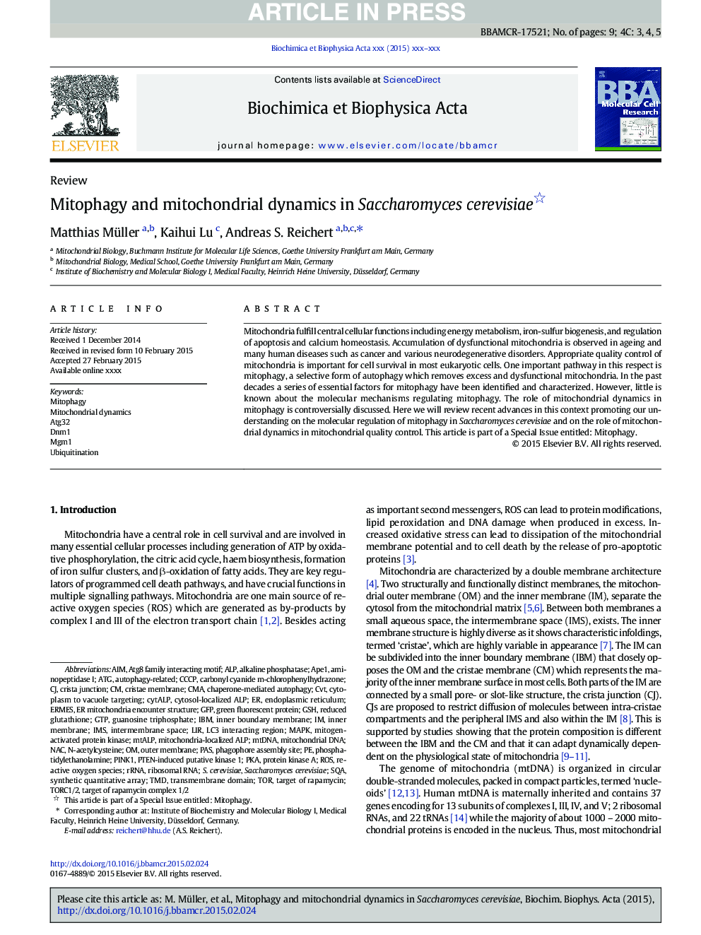 Mitophagy and mitochondrial dynamics in Saccharomyces cerevisiae