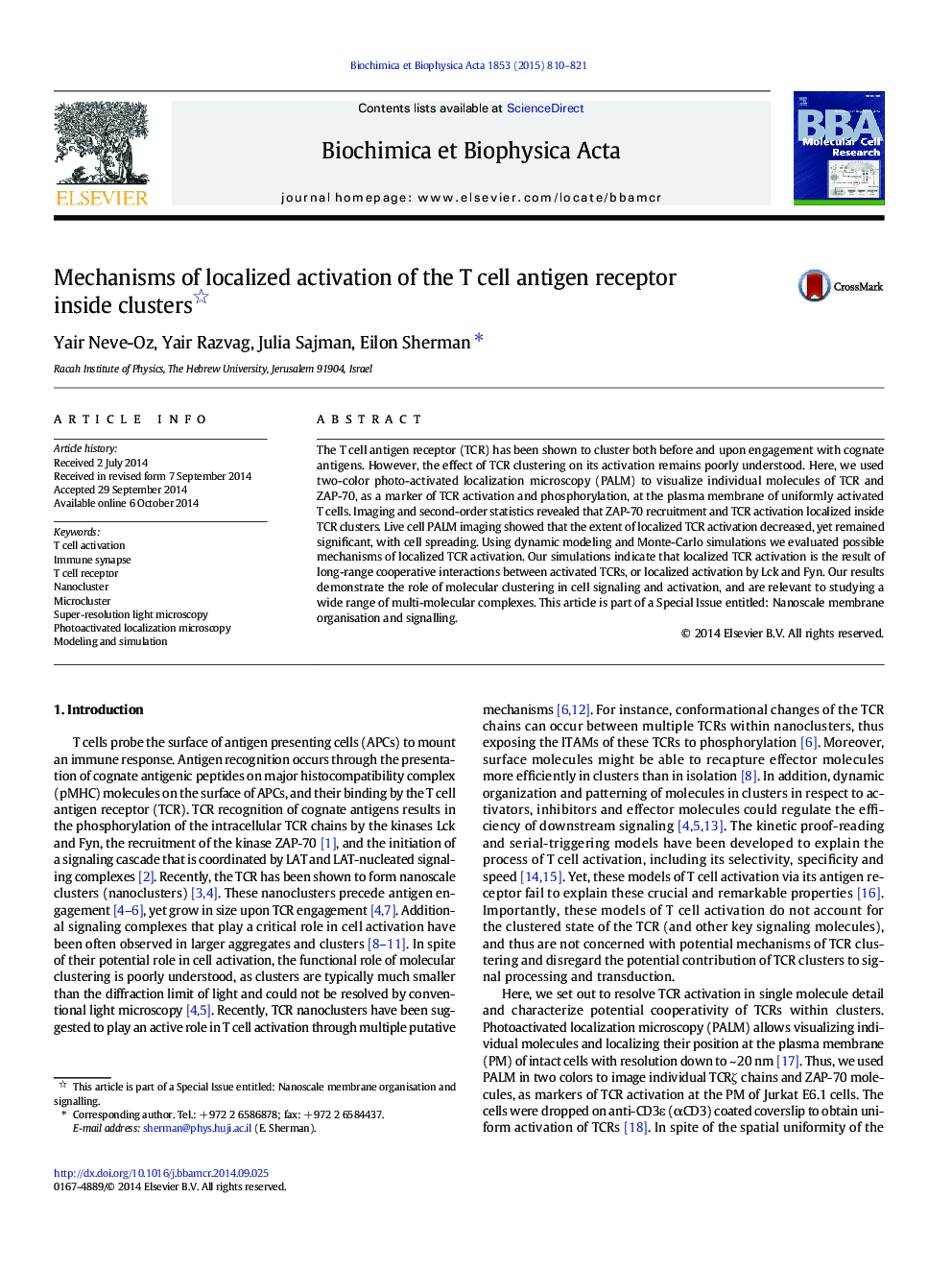 Mechanisms of localized activation of the T cell antigen receptor inside clusters