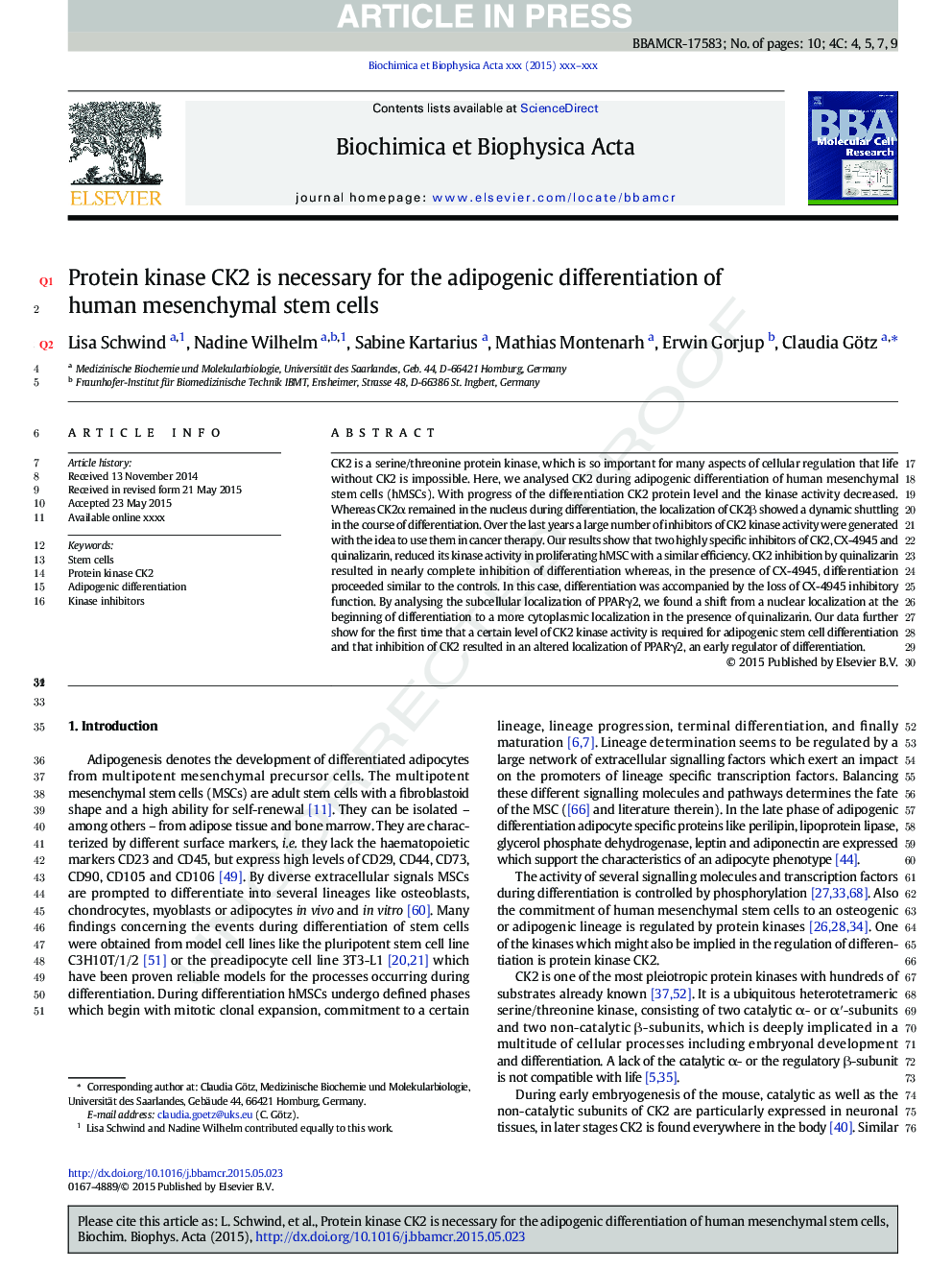 Protein kinase CK2 is necessary for the adipogenic differentiation of human mesenchymal stem cells