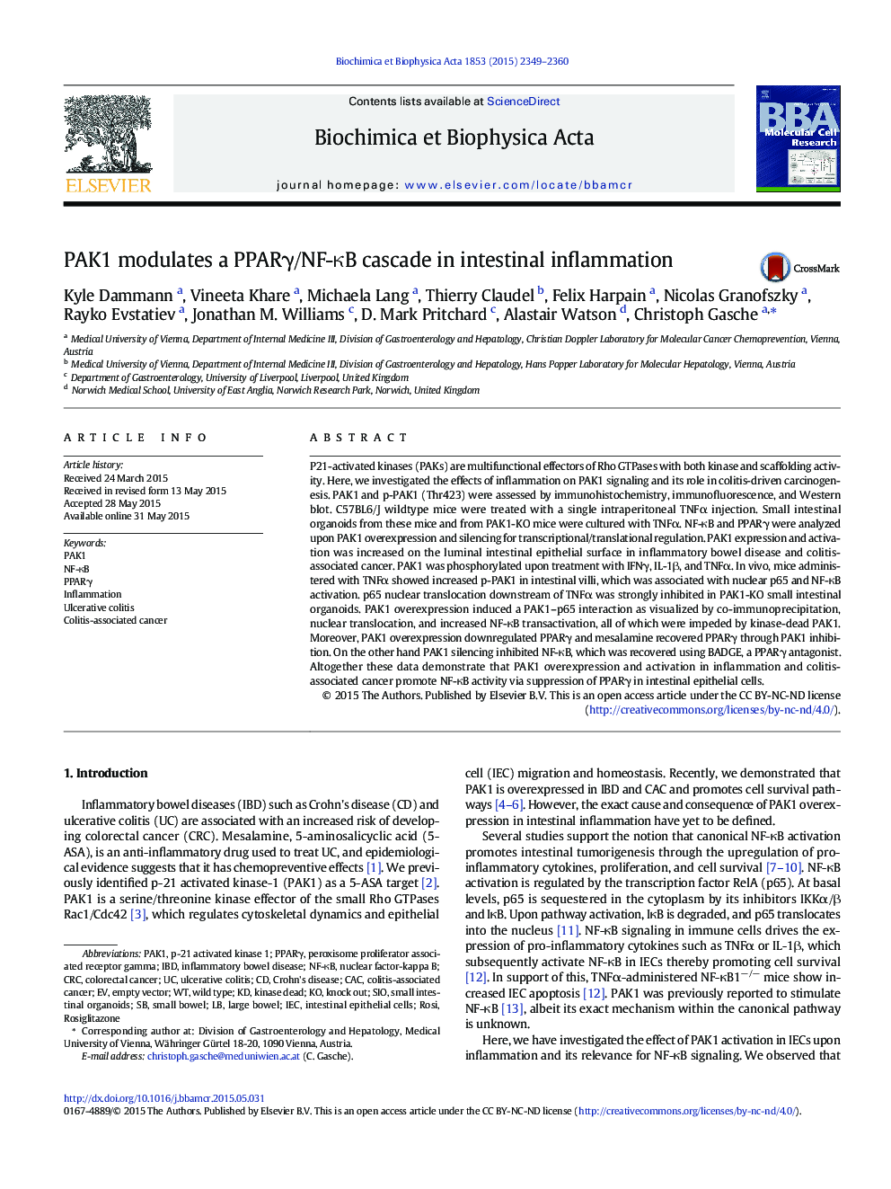 PAK1 modulates a PPARÎ³/NF-ÎºB cascade in intestinal inflammation