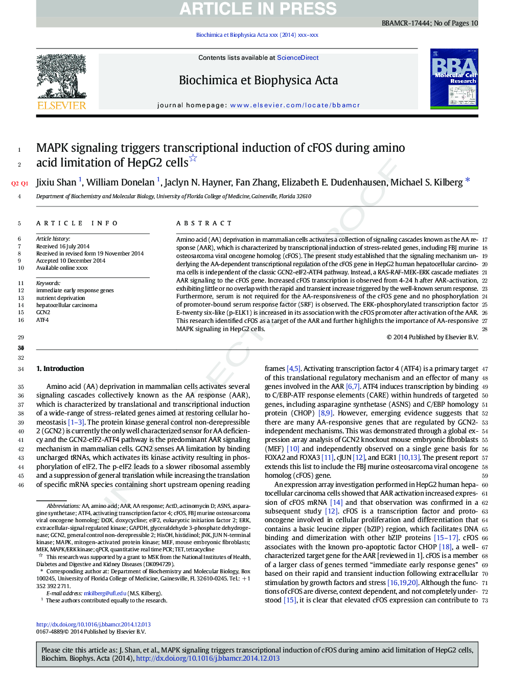 MAPK signaling triggers transcriptional induction of cFOS during amino acid limitation of HepG2 cells