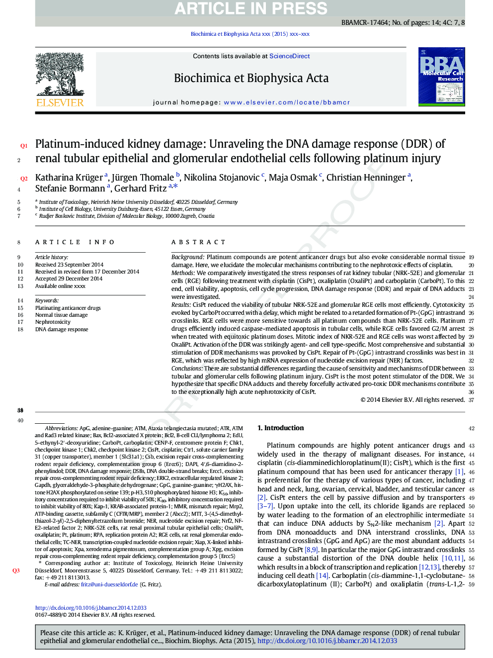 Platinum-induced kidney damage: Unraveling the DNA damage response (DDR) of renal tubular epithelial and glomerular endothelial cells following platinum injury