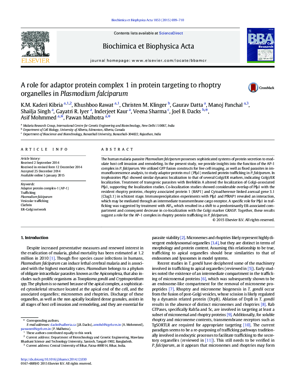 A role for adaptor protein complex 1 in protein targeting to rhoptry organelles in Plasmodium falciparum