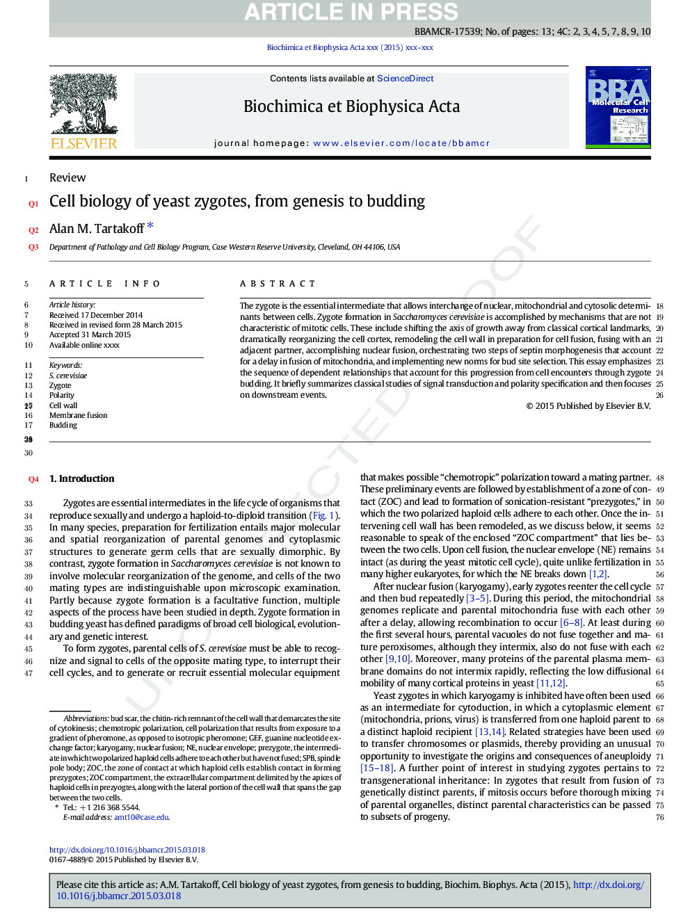 Cell biology of yeast zygotes, from genesis to budding