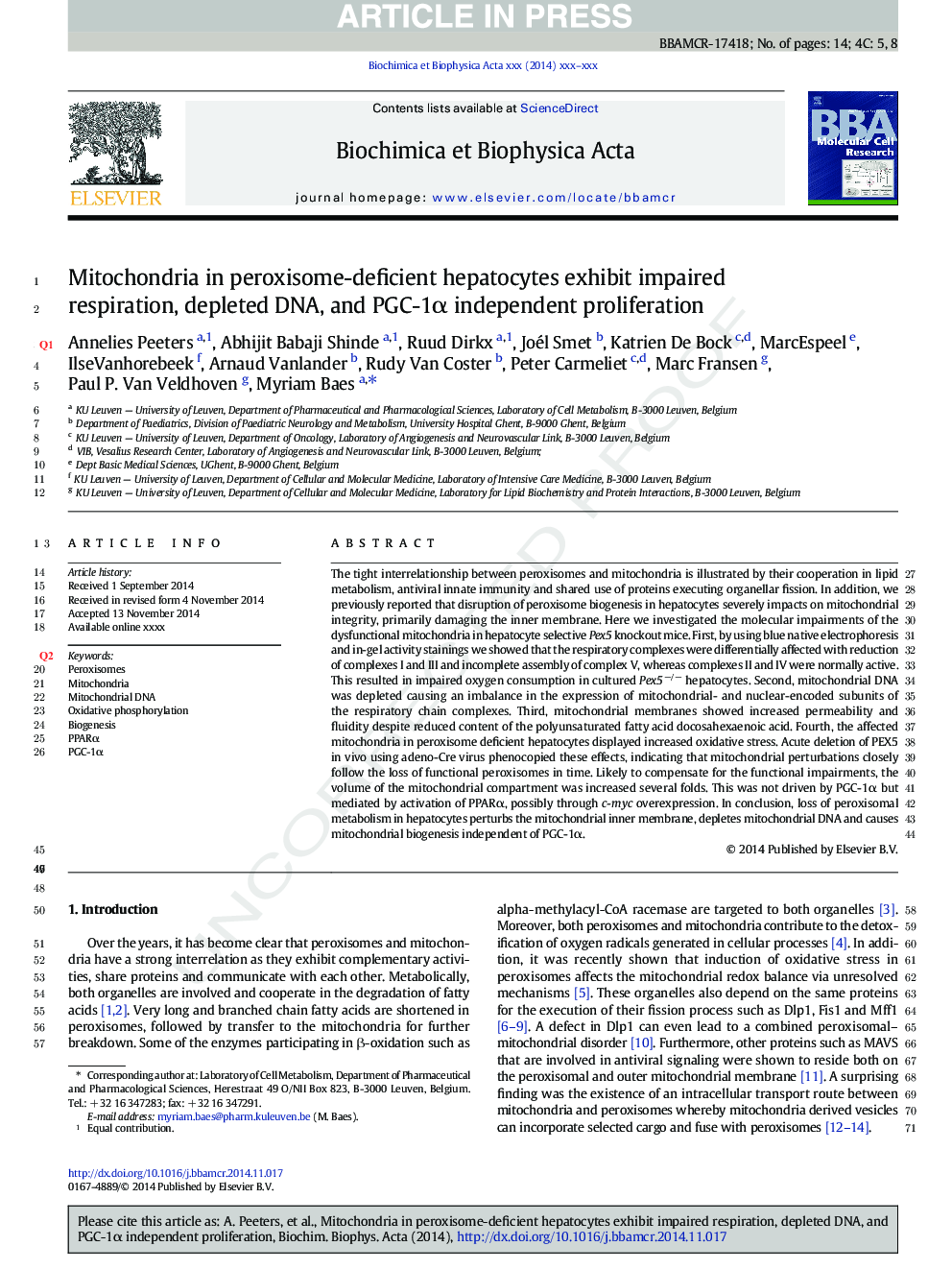 Mitochondria in peroxisome-deficient hepatocytes exhibit impaired respiration, depleted DNA, and PGC-1Î± independent proliferation