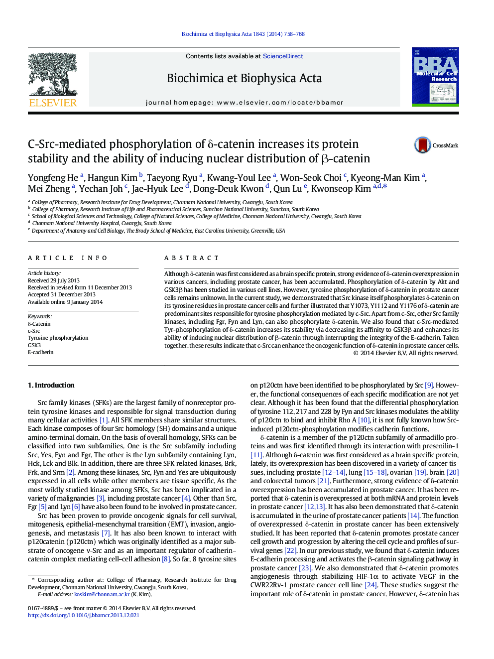 C-Src-mediated phosphorylation of Î´-catenin increases its protein stability and the ability of inducing nuclear distribution of Î²-catenin