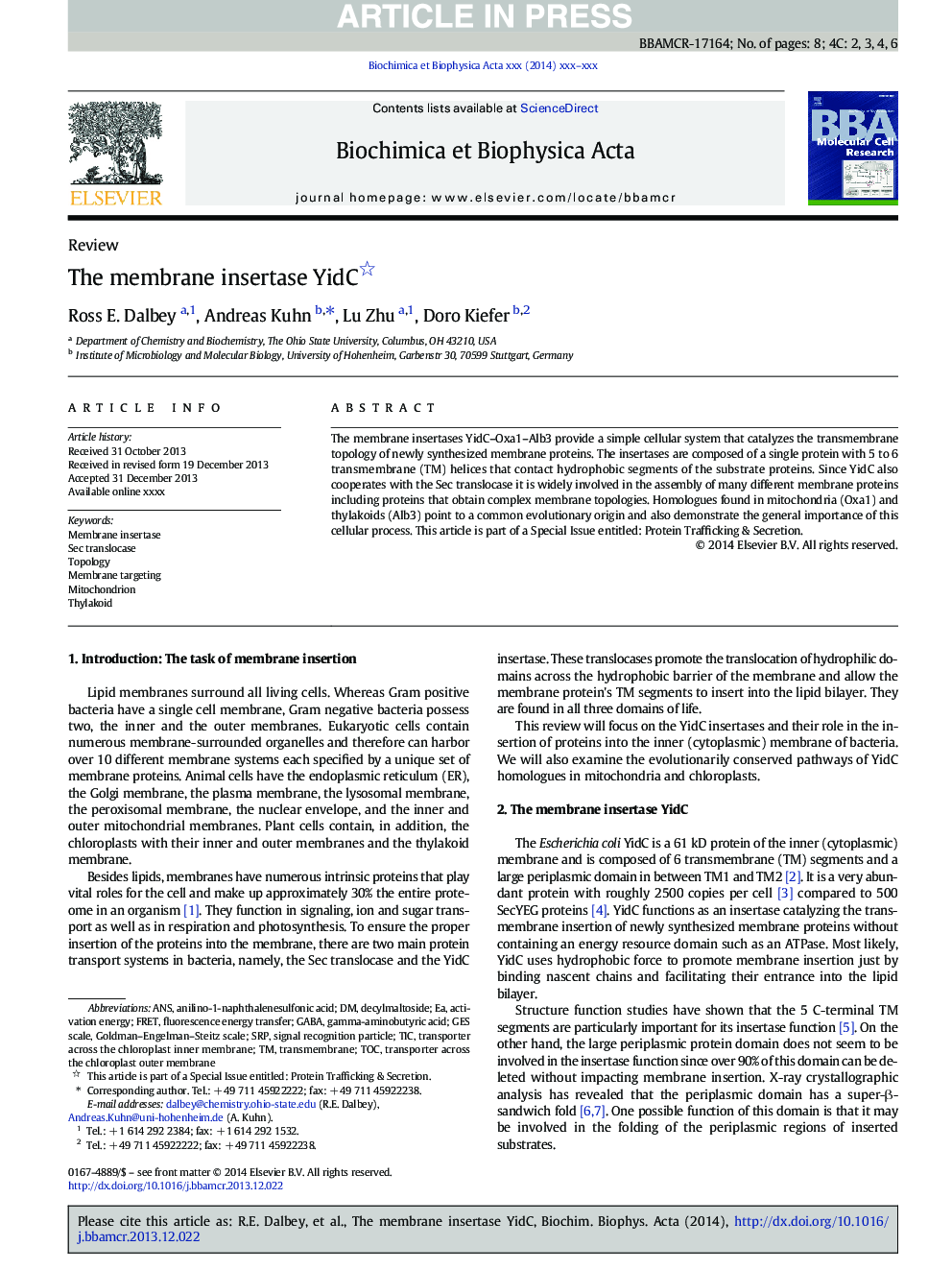 The membrane insertase YidC