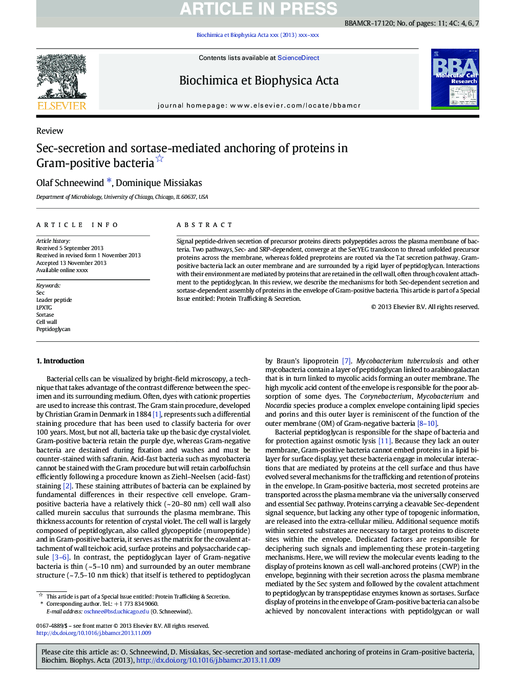 Sec-secretion and sortase-mediated anchoring of proteins in Gram-positive bacteria