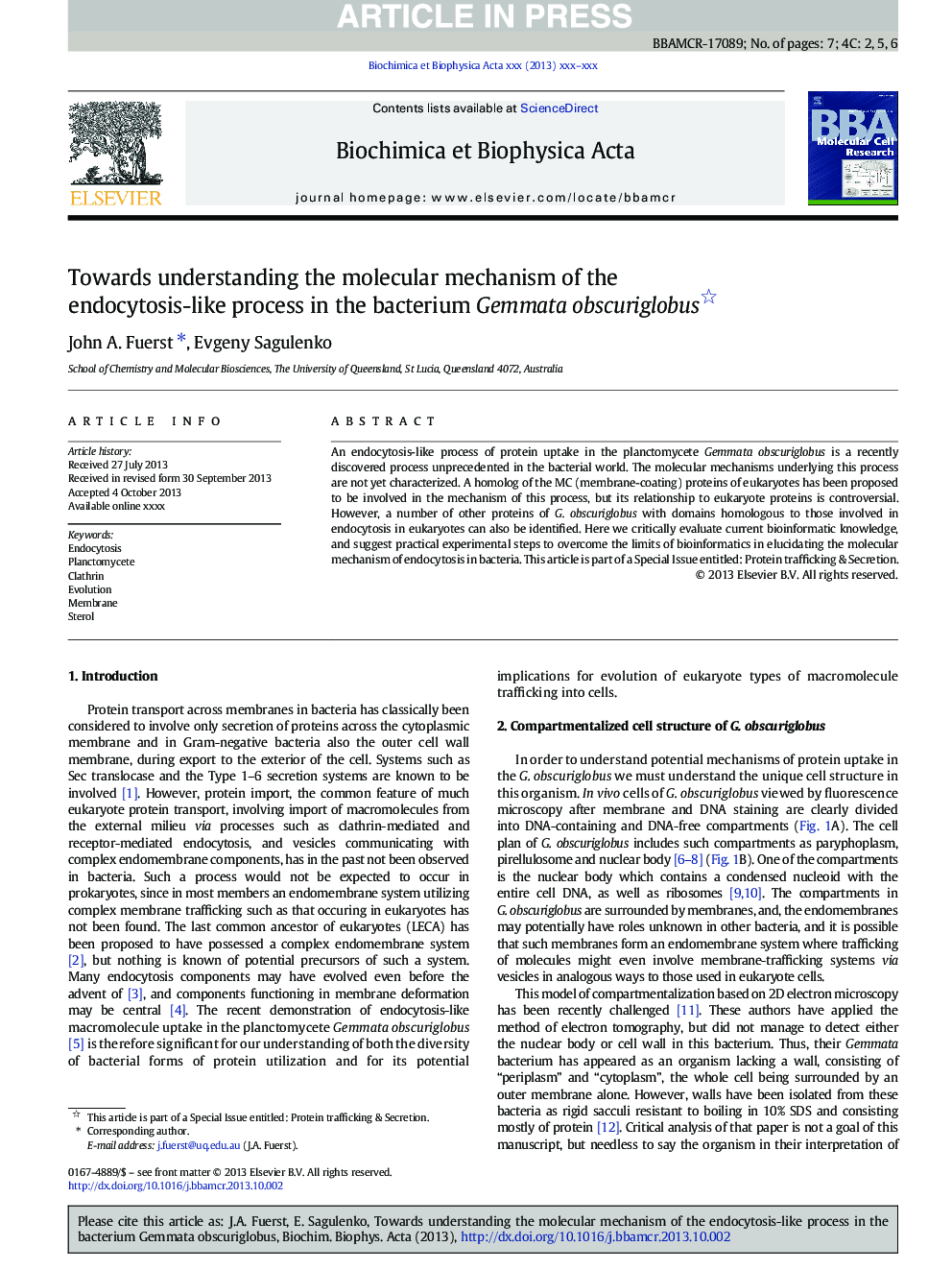 Towards understanding the molecular mechanism of the endocytosis-like process in the bacterium Gemmata obscuriglobus