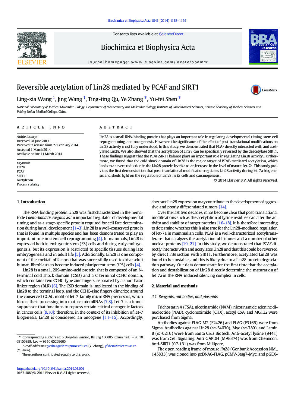 Reversible acetylation of Lin28 mediated by PCAF and SIRT1