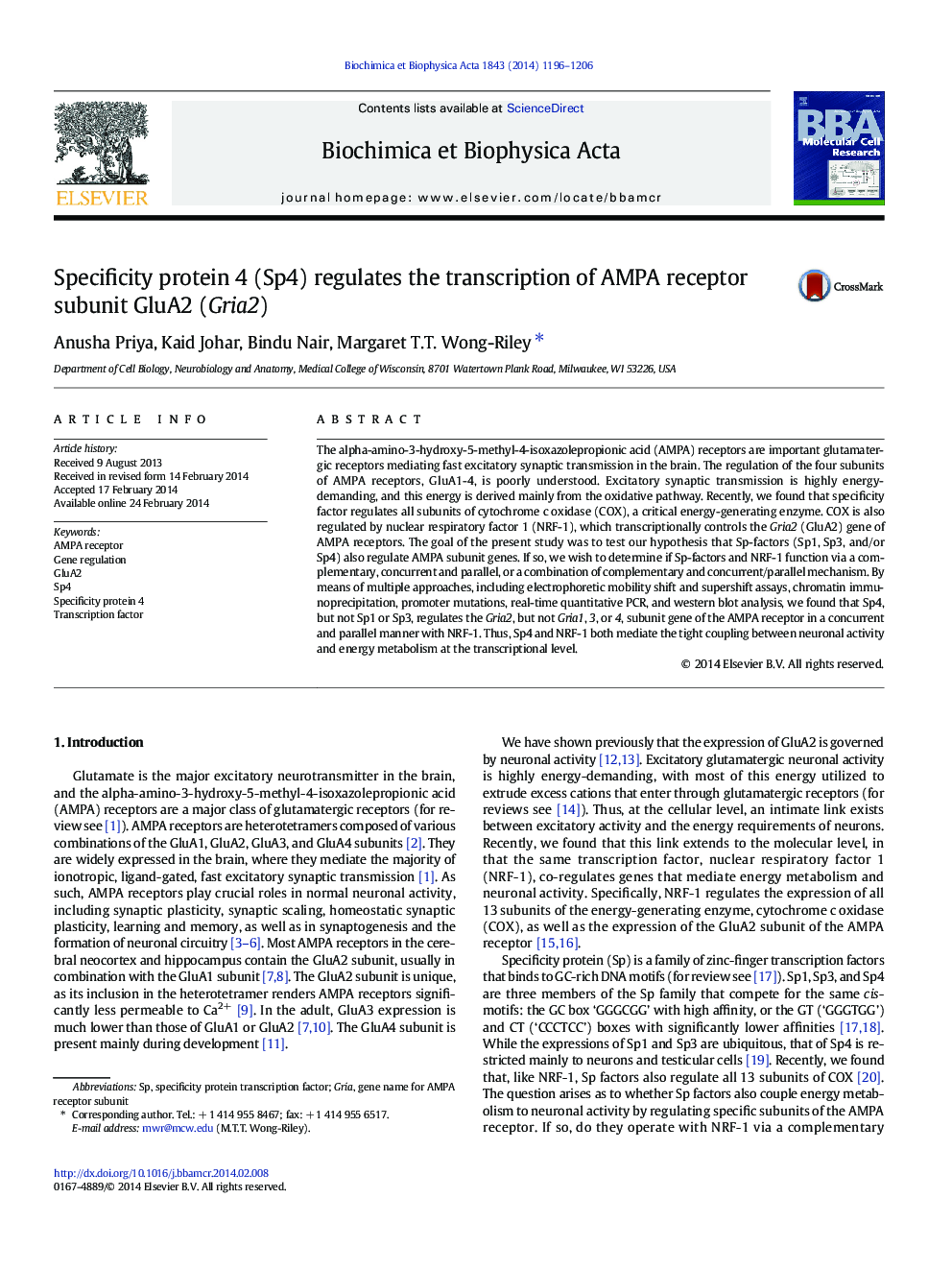 Specificity protein 4 (Sp4) regulates the transcription of AMPA receptor subunit GluA2 (Gria2)