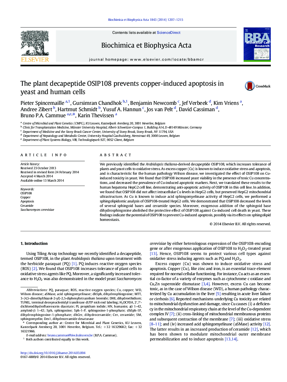 The plant decapeptide OSIP108 prevents copper-induced apoptosis in yeast and human cells