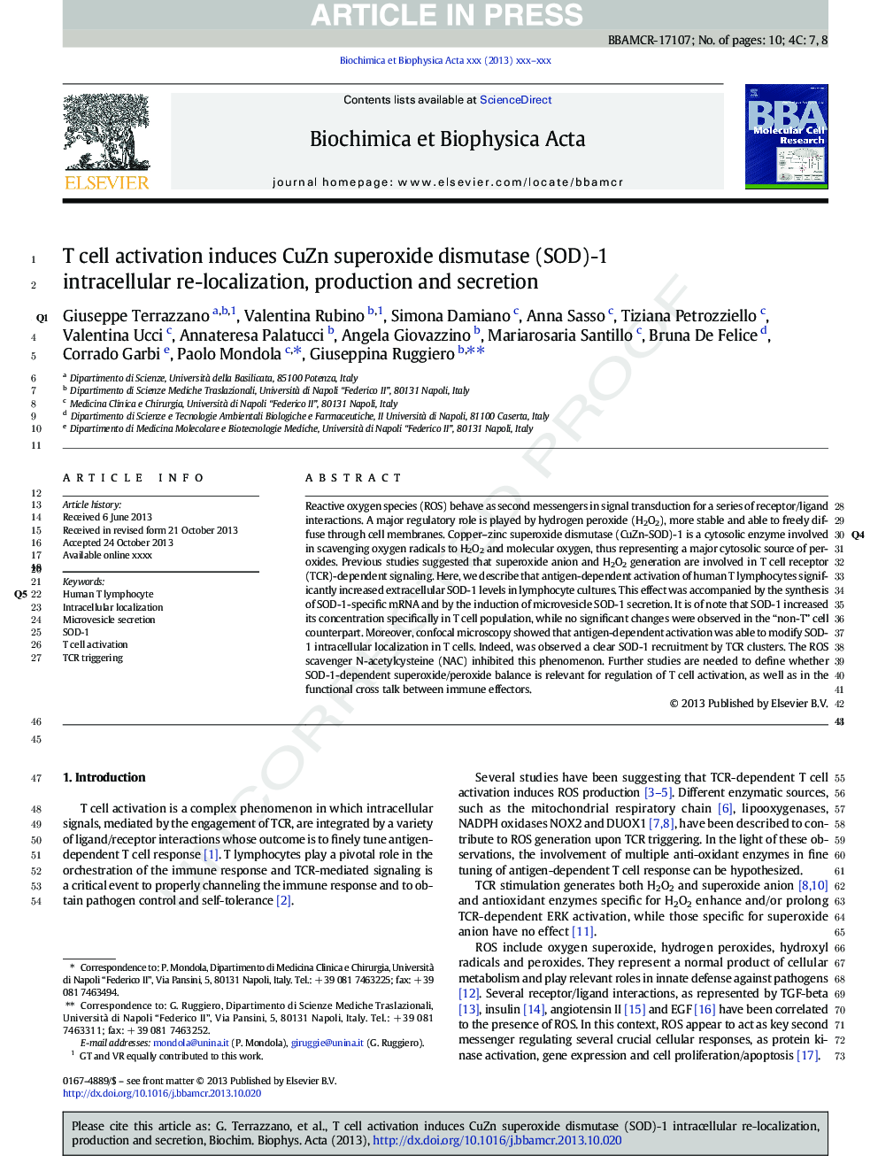 T cell activation induces CuZn superoxide dismutase (SOD)-1 intracellular re-localization, production and secretion