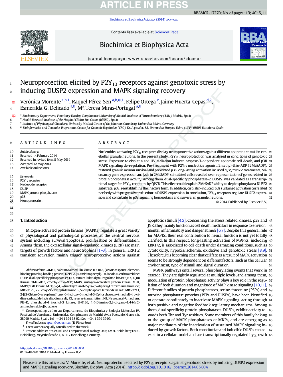 Neuroprotection elicited by P2Y13 receptors against genotoxic stress by inducing DUSP2 expression and MAPK signaling recovery