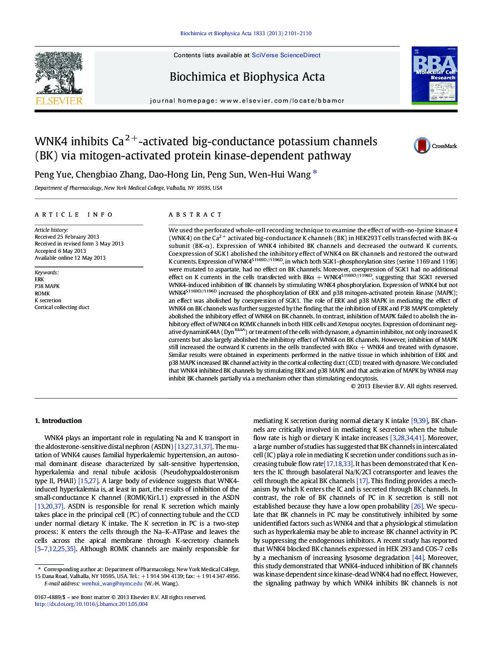 WNK4 inhibits Ca2Â +-activated big-conductance potassium channels (BK) via mitogen-activated protein kinase-dependent pathway