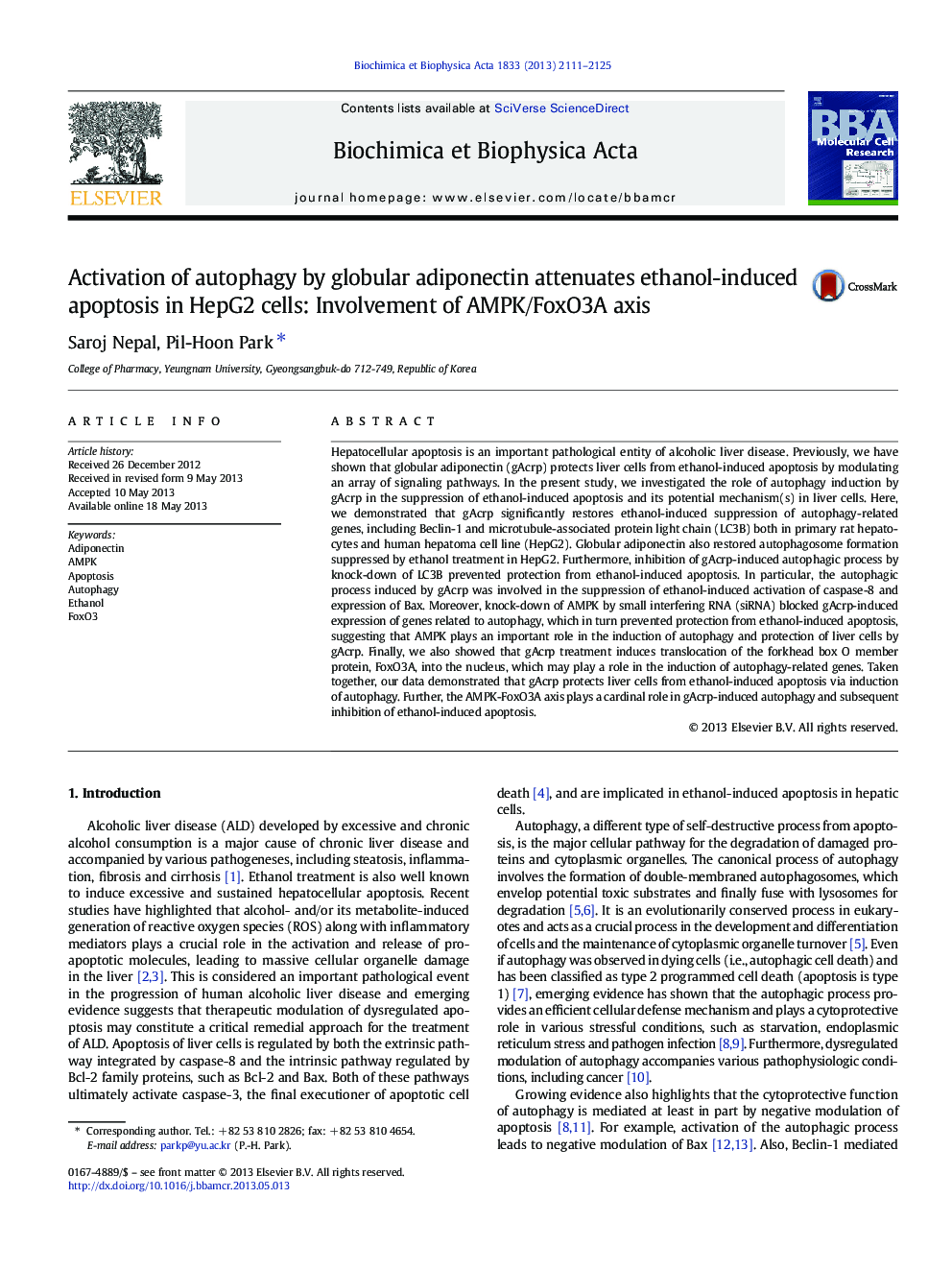 Activation of autophagy by globular adiponectin attenuates ethanol-induced apoptosis in HepG2 cells: Involvement of AMPK/FoxO3A axis