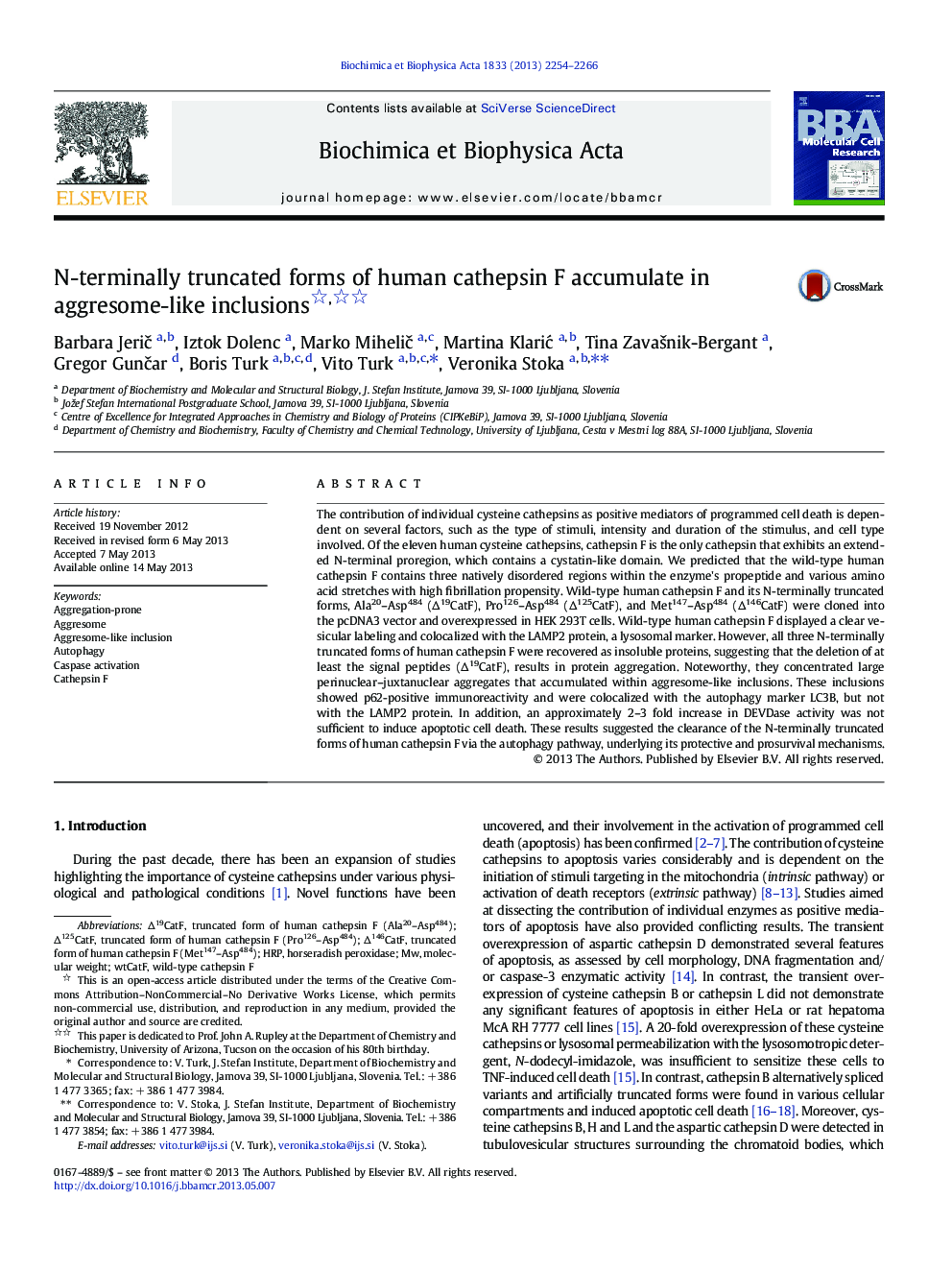 N-terminally truncated forms of human cathepsin F accumulate in aggresome-like inclusions