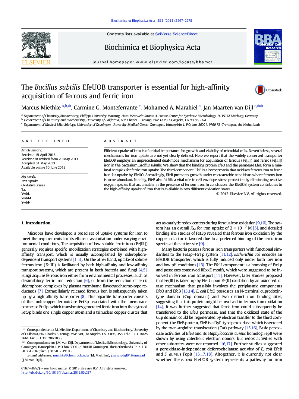 The Bacillus subtilis EfeUOB transporter is essential for high-affinity acquisition of ferrous and ferric iron