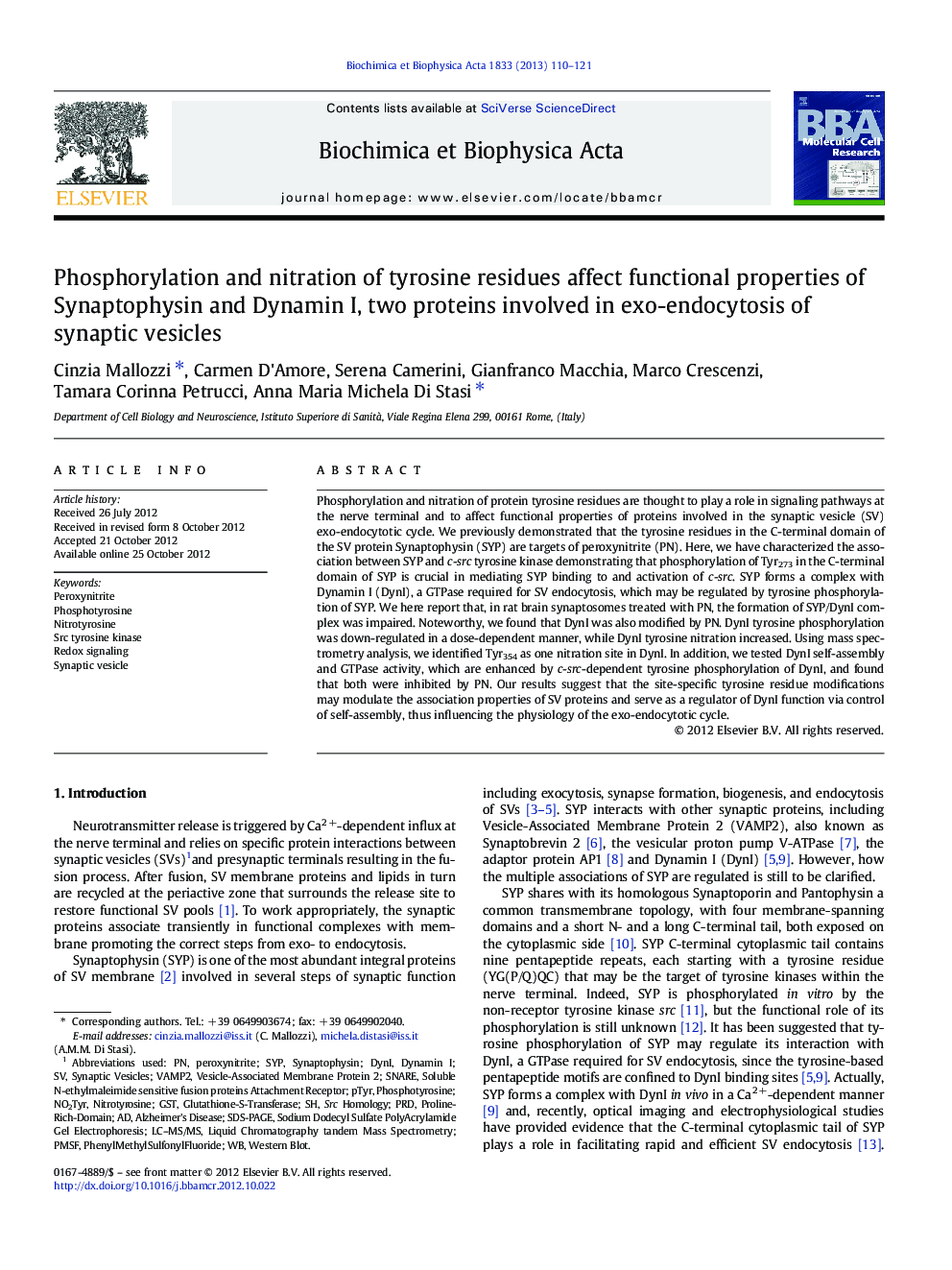 Phosphorylation and nitration of tyrosine residues affect functional properties of Synaptophysin and Dynamin I, two proteins involved in exo-endocytosis of synaptic vesicles