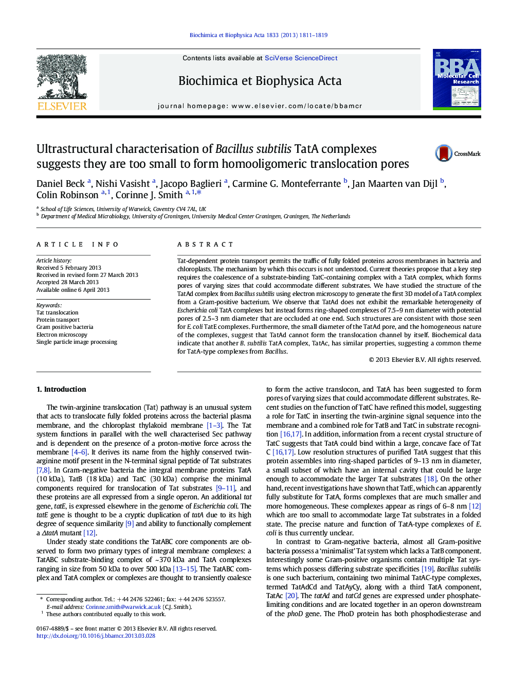 Ultrastructural characterisation of Bacillus subtilis TatA complexes suggests they are too small to form homooligomeric translocation pores