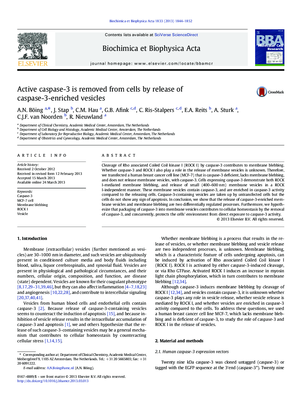 Active caspase-3 is removed from cells by release of caspase-3-enriched vesicles