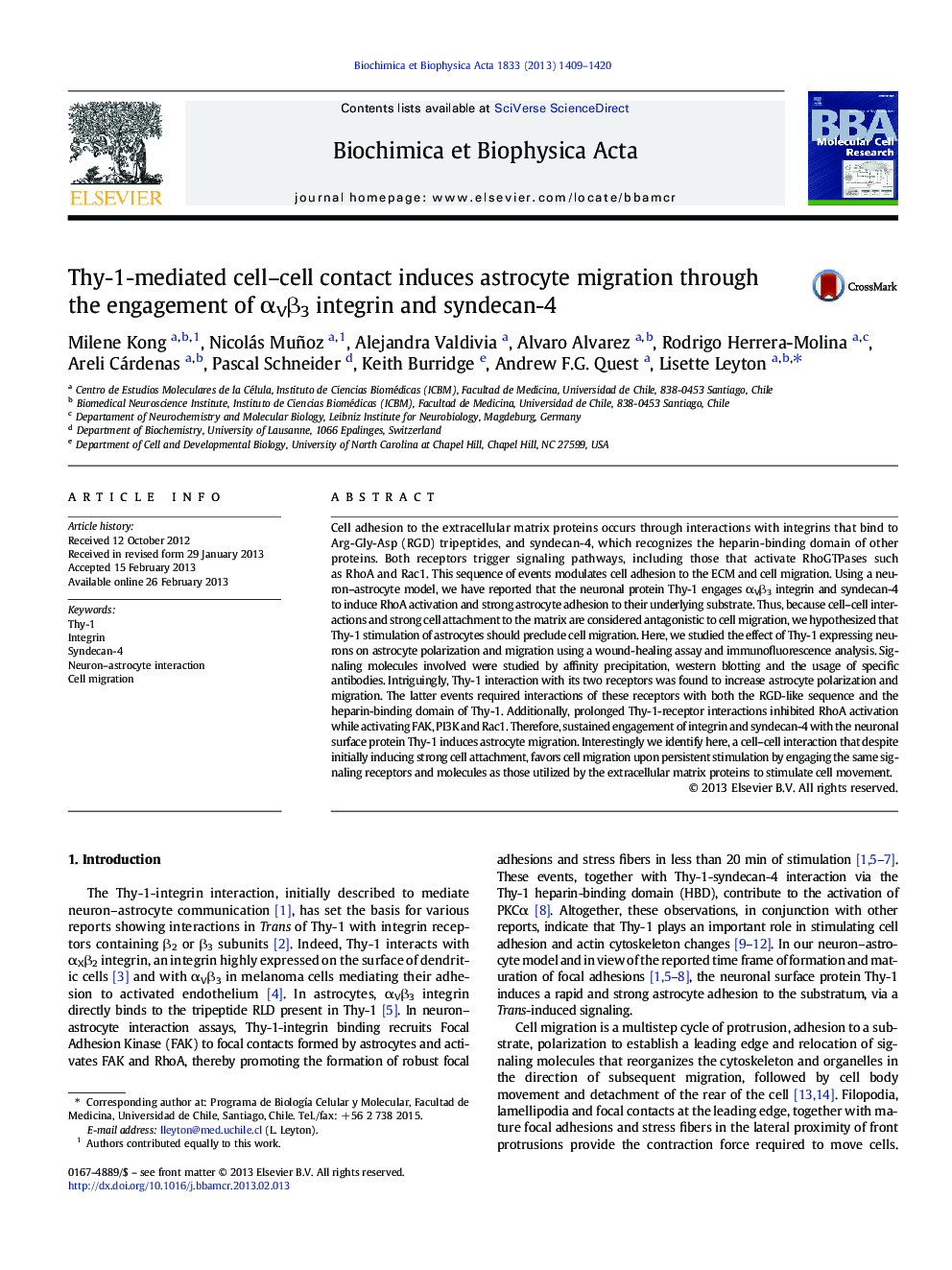 Thy-1-mediated cell-cell contact induces astrocyte migration through the engagement of Î±VÎ²3 integrin and syndecan-4