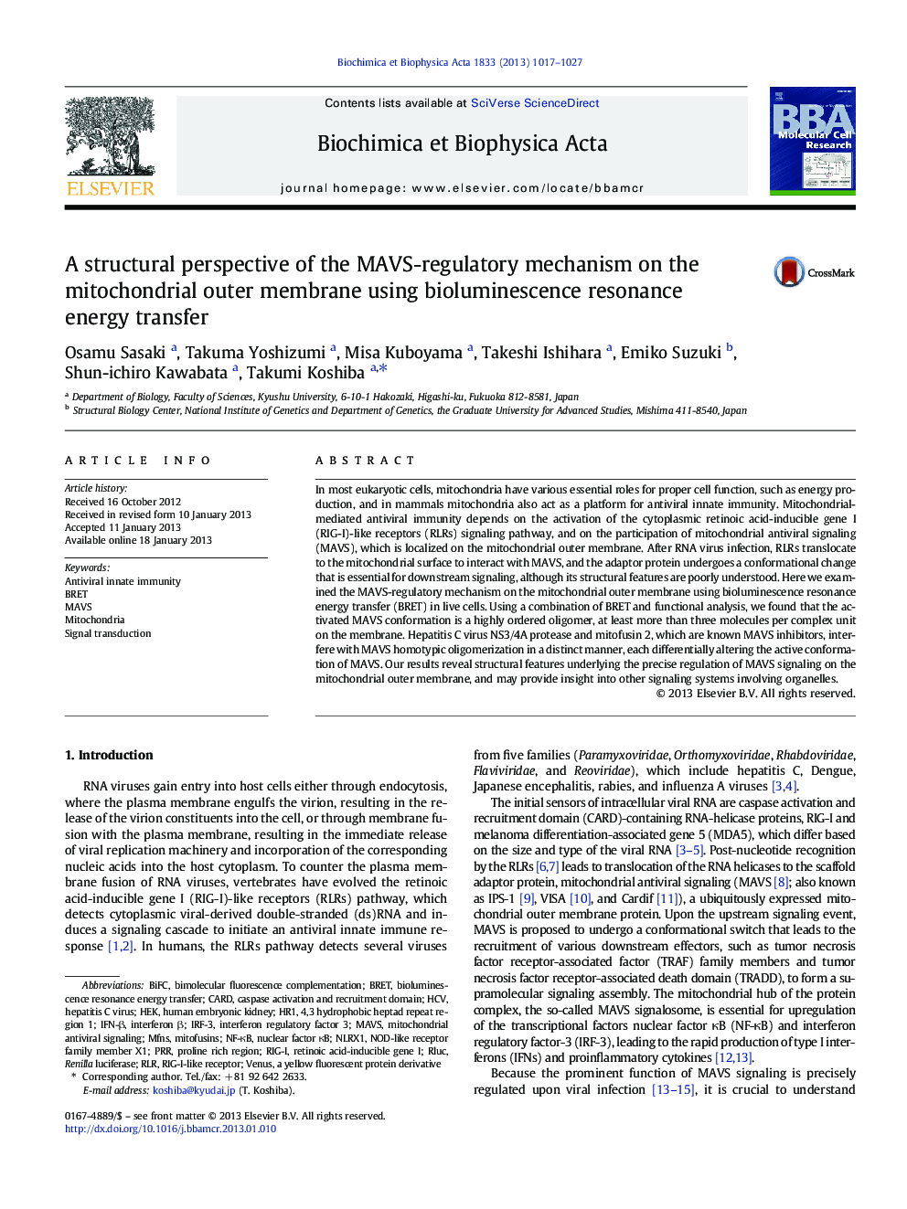 A structural perspective of the MAVS-regulatory mechanism on the mitochondrial outer membrane using bioluminescence resonance energy transfer