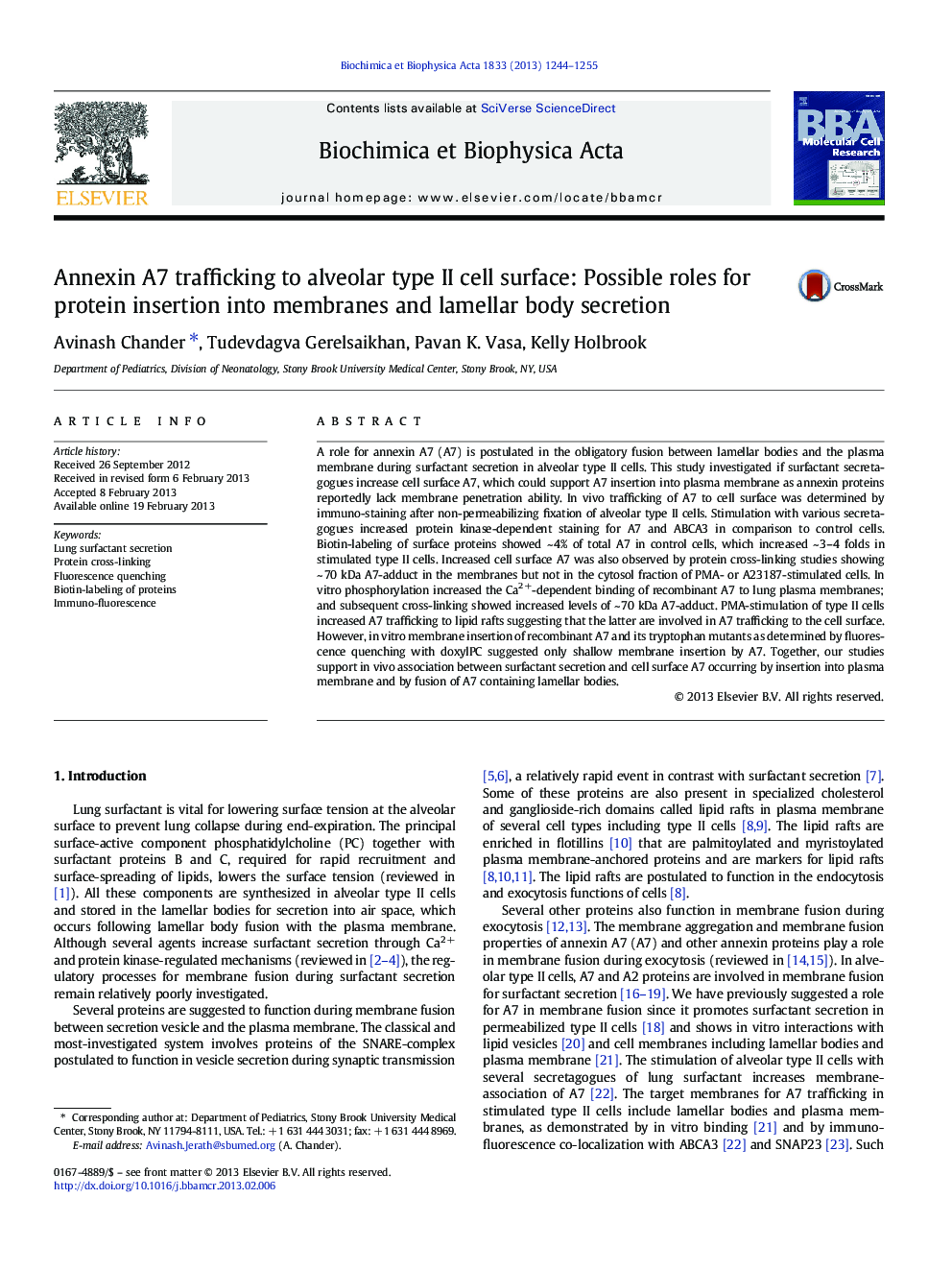 Annexin A7 trafficking to alveolar type II cell surface: Possible roles for protein insertion into membranes and lamellar body secretion