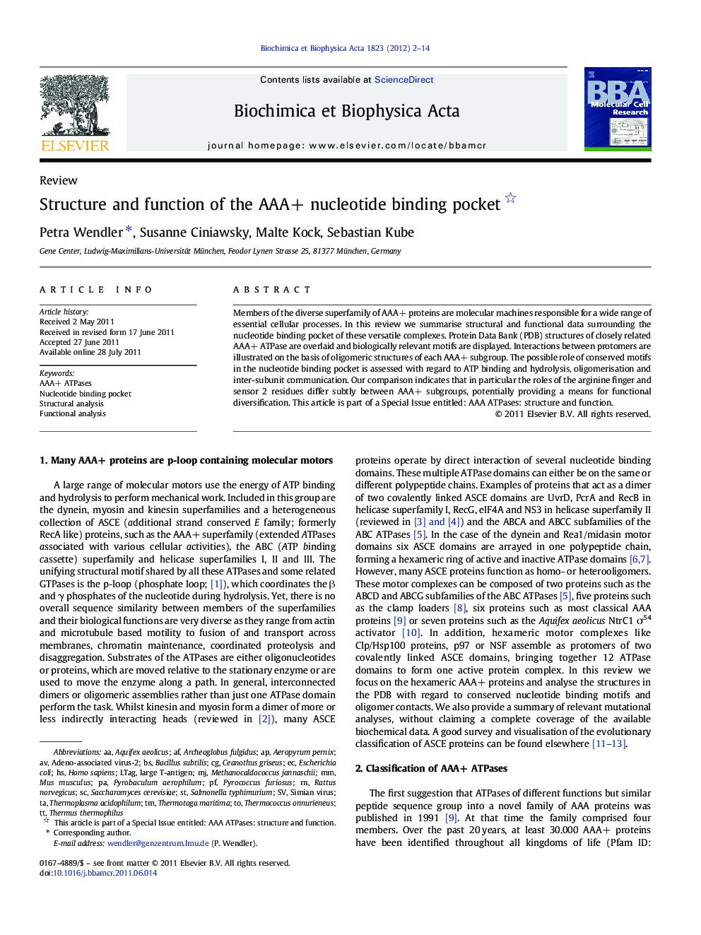 Structure and function of the AAA+ nucleotide binding pocket