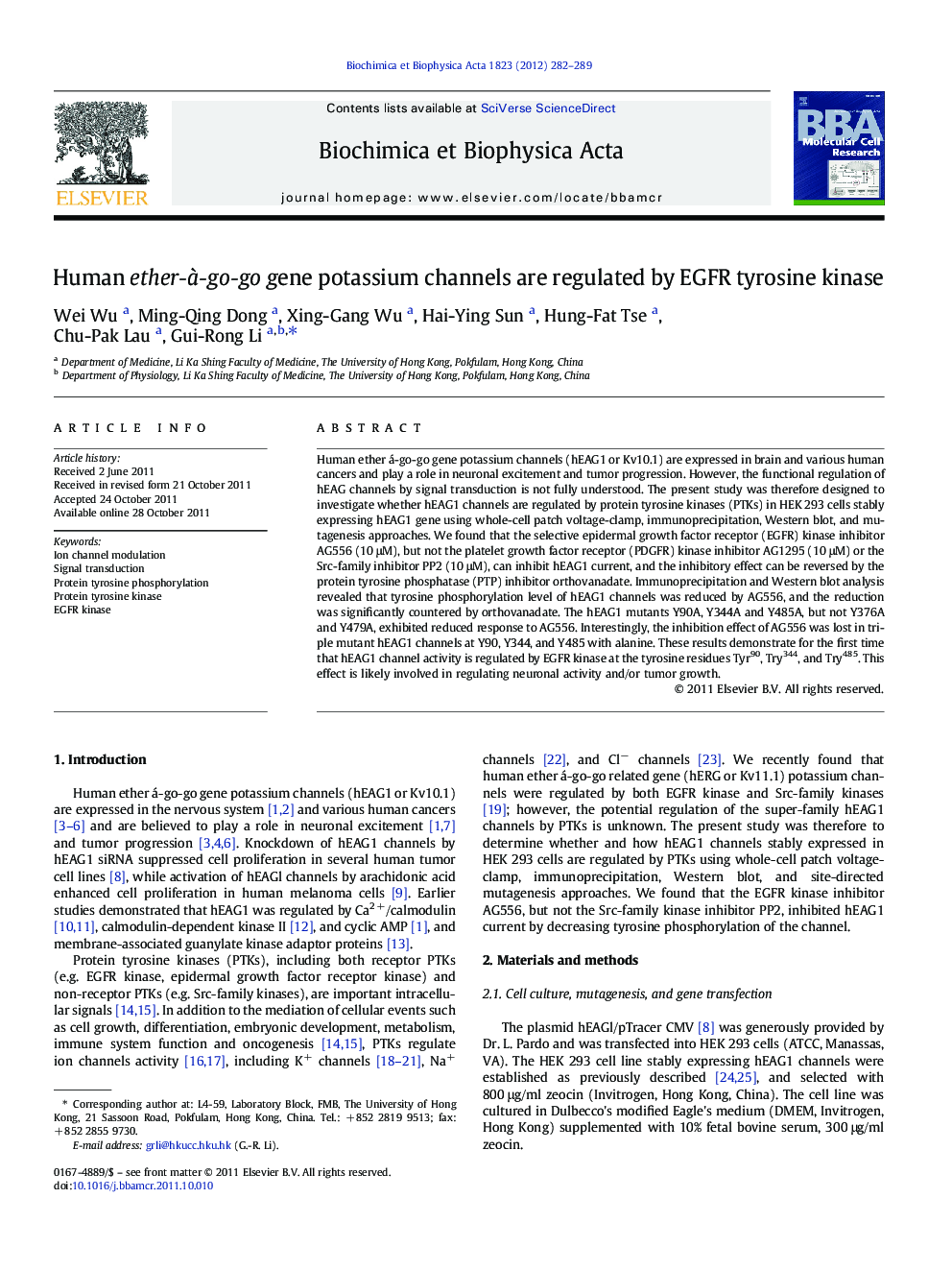 Human ether-Ã -go-go gene potassium channels are regulated by EGFR tyrosine kinase